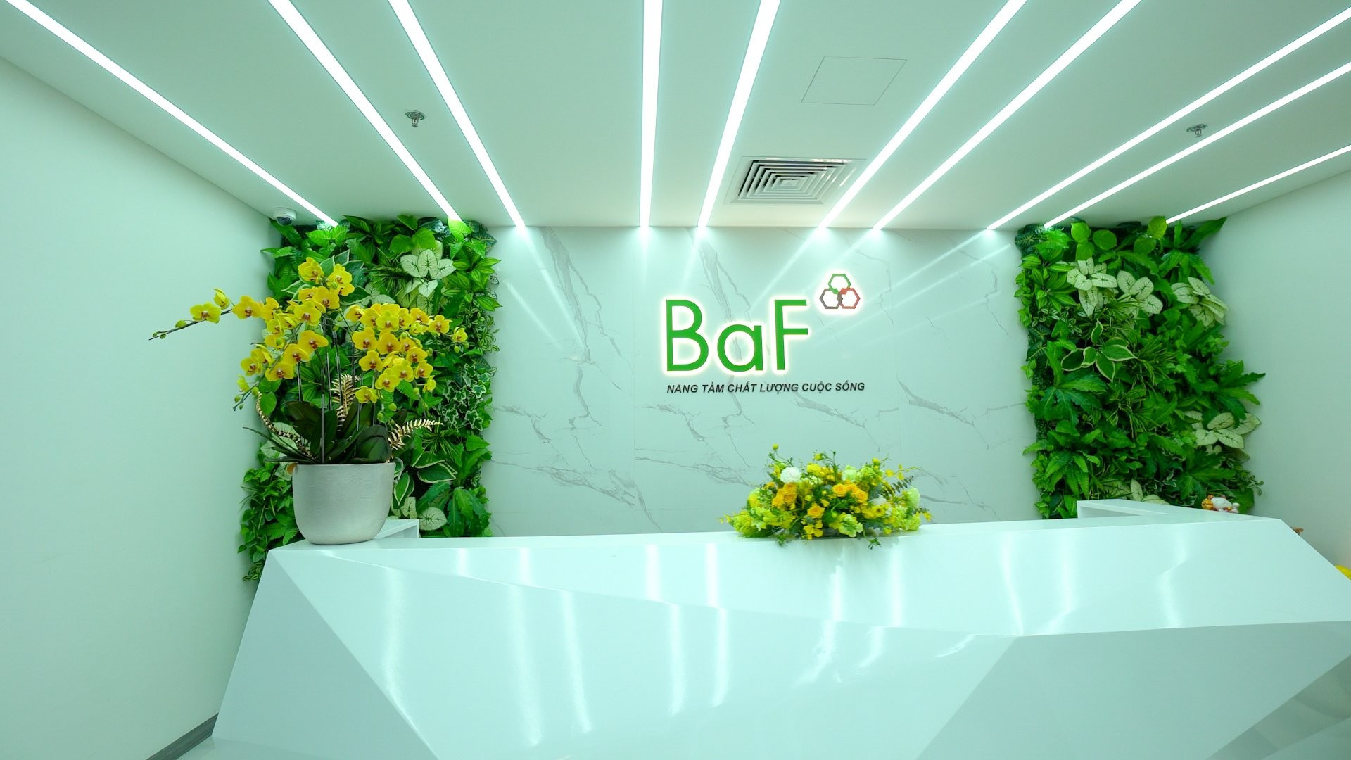 Cổ phiếu BAF chính thức niêm yết sàn HoSE tháng 1/2021.