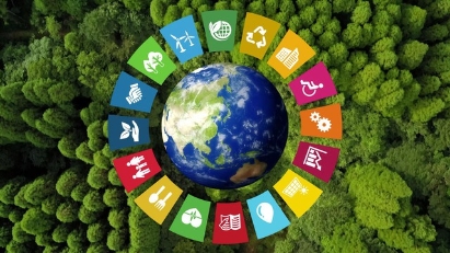 National council for sustainable develpoment to be established