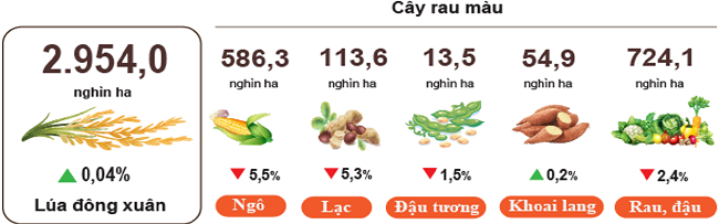 Diện tích gieo trồng một số cây hằng năm (Tính đến trung tuần tháng 6/2024). Nguồn: Tổng cục Thống kê.