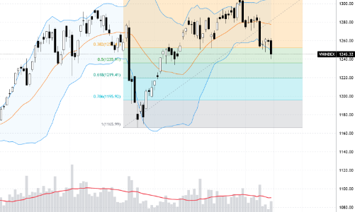 Xu thế dòng tiền: Thủng mốc 1250 điểm, VN-Index sẽ dò đáy ở đâu?