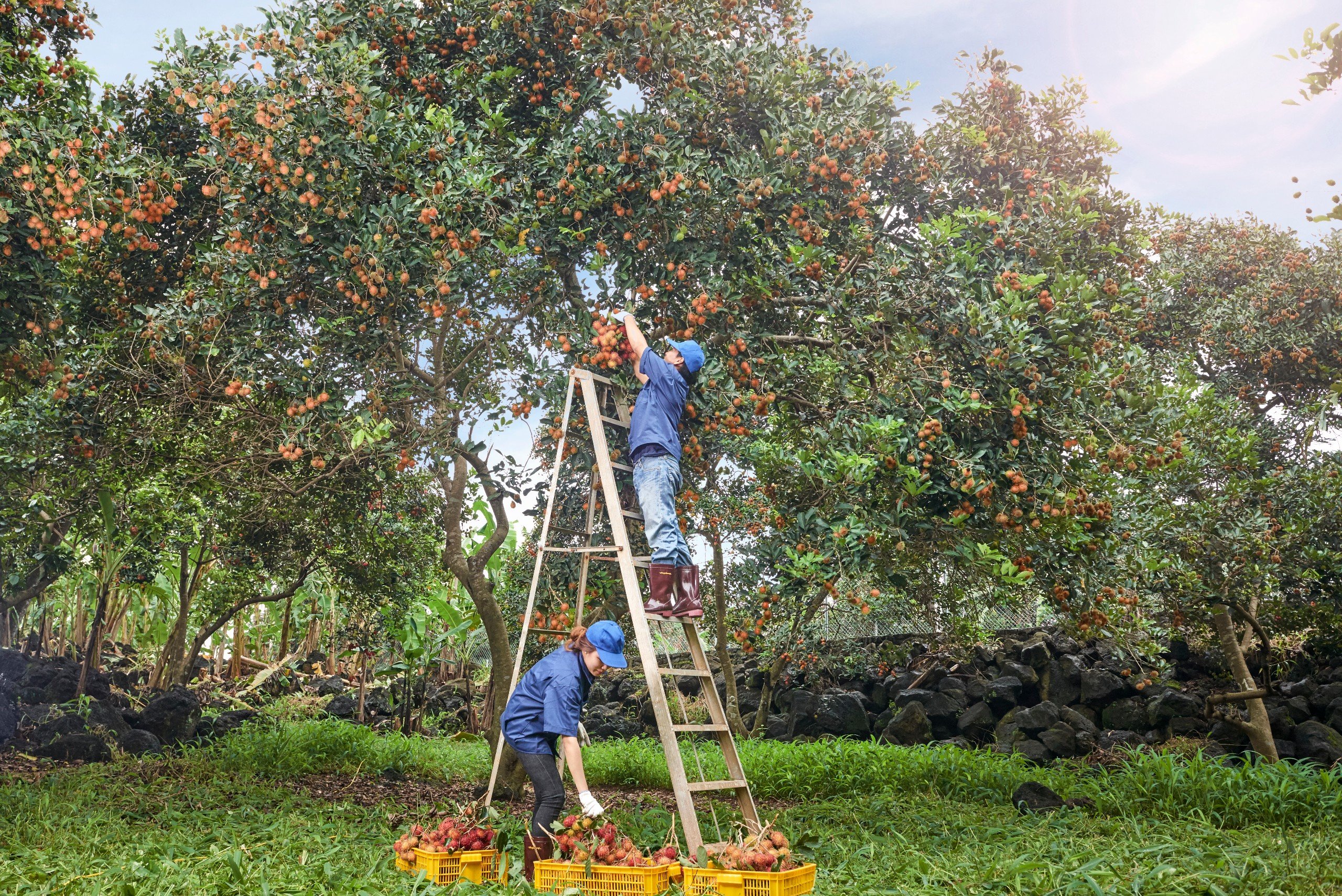 BASF đồng h&agrave;nh với nhiều doanh nghiệp trong h&agrave;nh tr&igrave;nh 30 năm hoạt động tại Việt Nam.