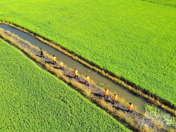 Đề án 1 triệu ha chuyên canh lúa chất lượng cao nhằm góp phần phát thải thấp, tổ chức lại sản xuất theo chuỗi giá trị.