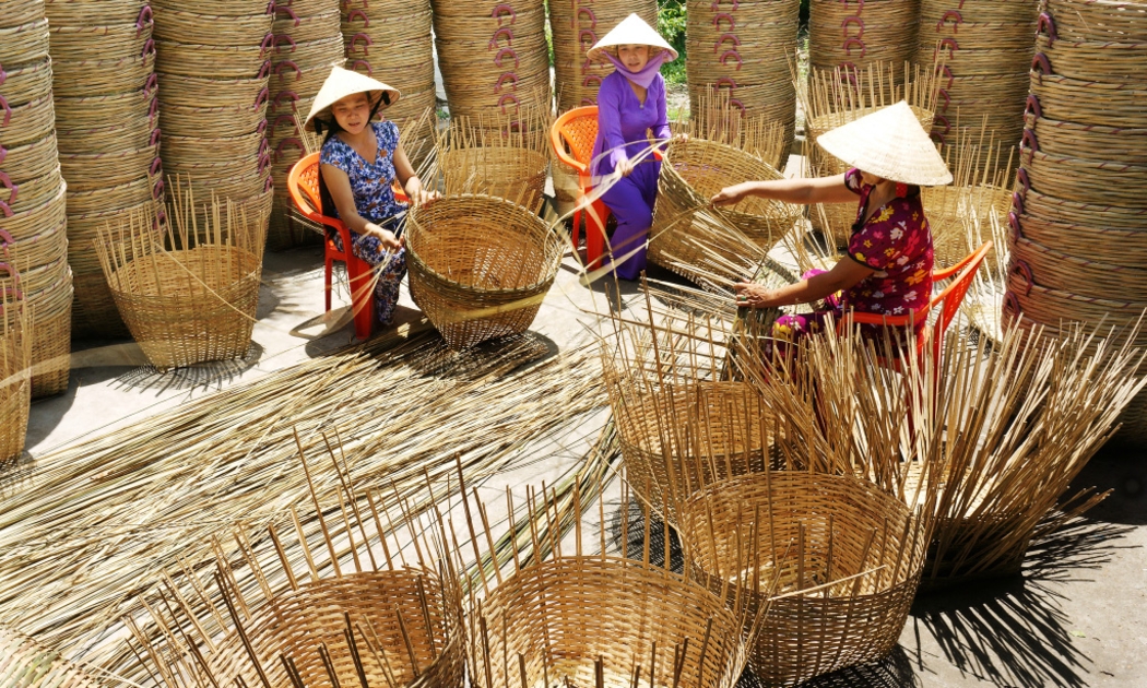 Chính phủ khuyến khích chuyển đổi mô hình từ hộ lên doanh nghiệp. 