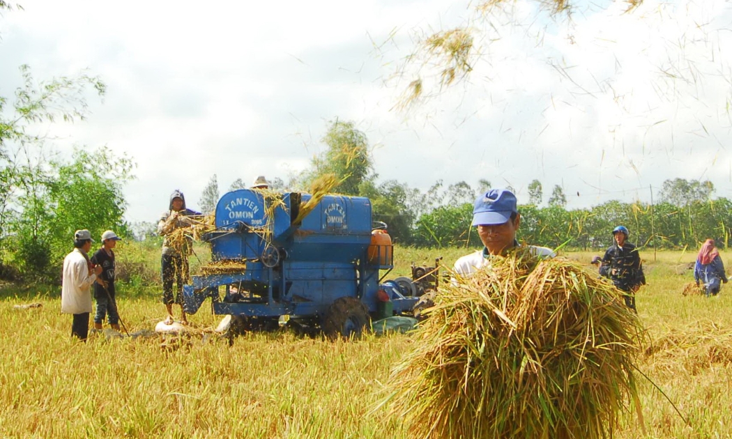 Là vùng sản xuất lúa và nông nghiệp lớn nhất cả nước, ĐBSCL cũng đang chịu ảnh hưởng nặng nề bởi biến đổi khí hậu; và vì vậy, sản xuất xanh đang được các địa phương đặc biệt coi trọng.