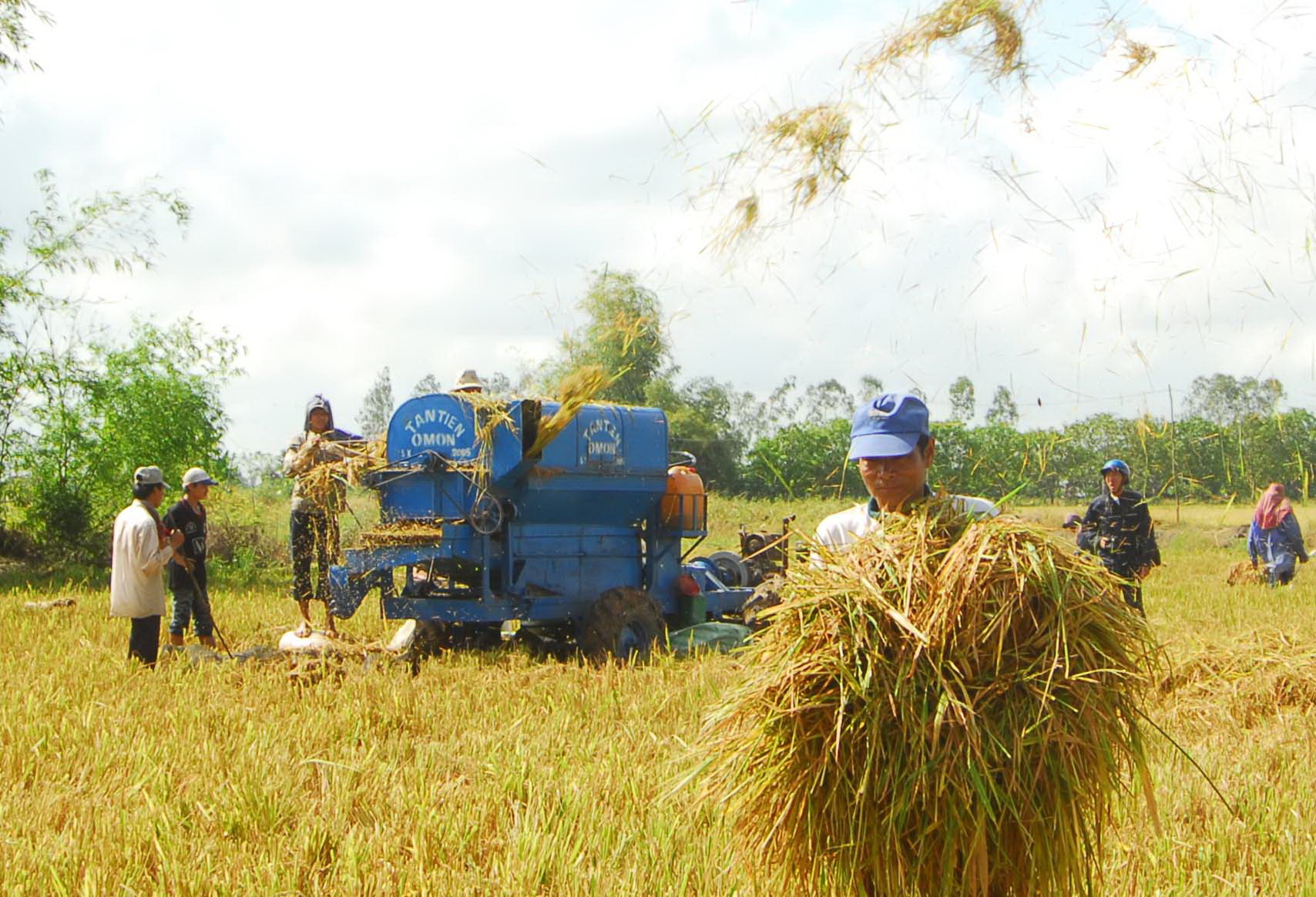 Là vùng sản xuất lúa và nông nghiệp lớn nhất cả nước, ĐBSCL cũng đang chịu ảnh hưởng nặng nề bởi biến đổi khí hậu; và vì vậy, sản xuất xanh đang được các địa phương đặc biệt coi trọng.