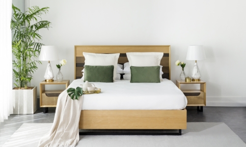 Gỗ mềm Canada: Lựa chọn bền vững và tối ưu chi phí cho nhà sản xuất Việt Nam