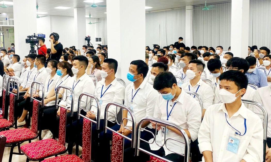 Tổ chức các hoạt động kết nối tạo việc làm cho lao động. 
