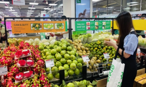 Doanh nghiệp hào hứng hưởng ứng Ngày Quốc tế không sử dụng túi nilon