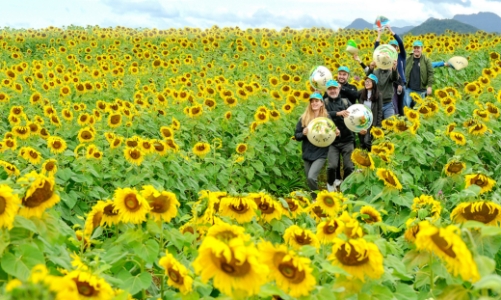 Khách quốc tế đến Nghệ An tăng mạnh 