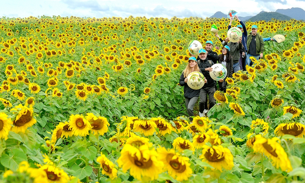 Du khách Pháp trải nghiệm tại cánh đồng hoa hướng dương (Nghĩa Đàn). Ảnh: Lê Quang Dũng