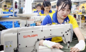 Miễn giảm gần 40.000 tỷ đồng sau 6 tháng, thu ngân sách ngành thuế  vẫn vượt 15,3% cùng kỳ