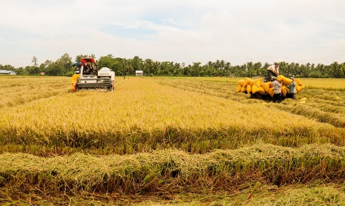 Nâng mục tiêu xuất khẩu nông lâm thủy  sản năm 2024 lên 57 - 58 tỷ USD