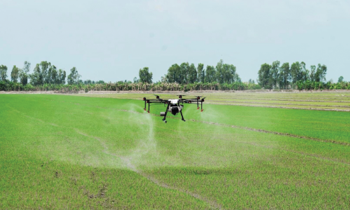 Nông nghiệp và vai trò bệ đỡ