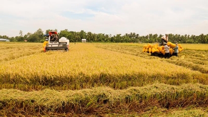 2024 agro-forestry-fishery export expected at $58 bln 