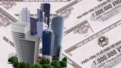 Value of privately placed corporate bonds issued in H1 increased by 2.6-fold year-on-year