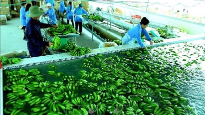 Businesses to conduct green practices