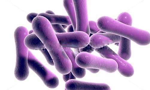 Giám sát, phát hiện sớm trường hợp nghi mắc bệnh bạch hầu tại cộng đồng