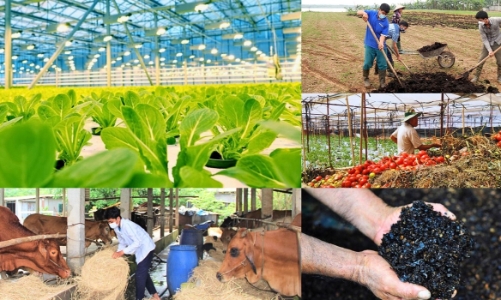 Hợp tác quốc tế và phối hợp đa ngành thúc đẩy kinh tế tuần hoàn trong nông nghiệp