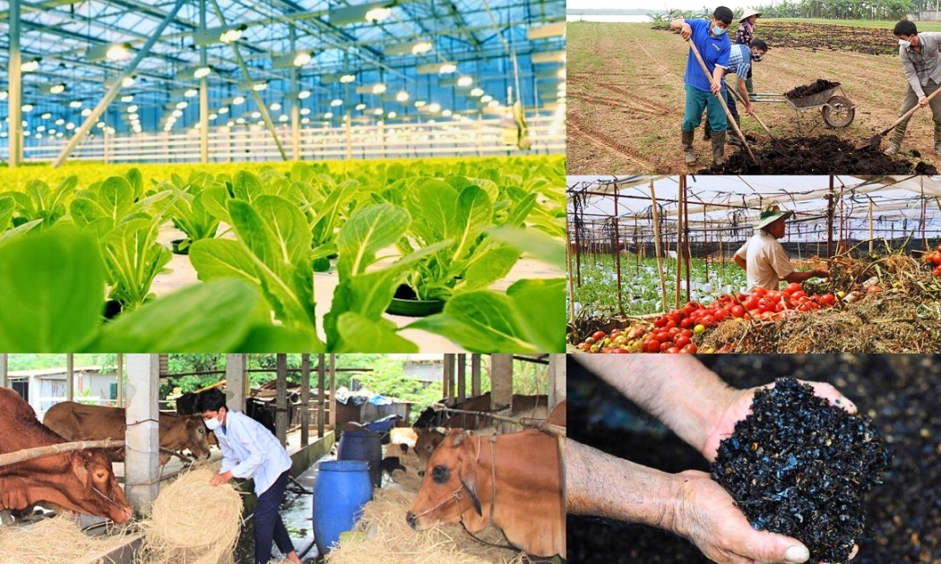 Phát triển kinh tế tuần hoàn trong nông nghiệp nhằm triển khai các cam kết quốc tế, nhiệm vụ quốc gia và ngành về phát triển xanh và bền vững.