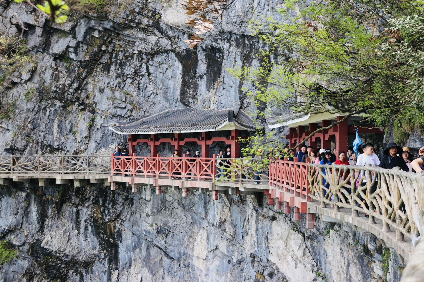 Các tour đến Đông Bắc Á đang có giá rất tốt và đa dạng vì dịch vụ ổn định.