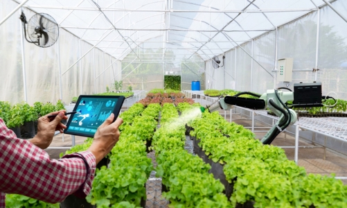 Thúc đẩy nghiên cứu, chuyển giao khoa học công nghệ vào sản xuất nông nghiệp