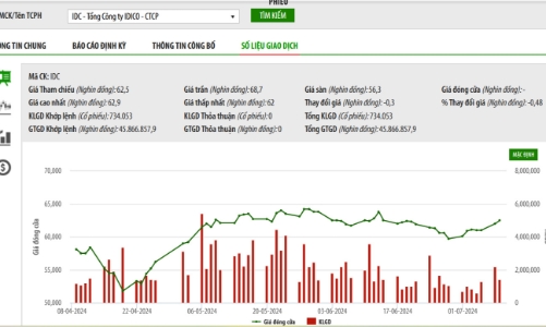 Được phê duyệt dự án tại Tiền Giang, nhóm quỹ Dragon Capital quay lại làm cổ đông lớn của IDC