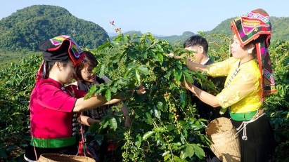 For further reduction of greenhouse gas emissions