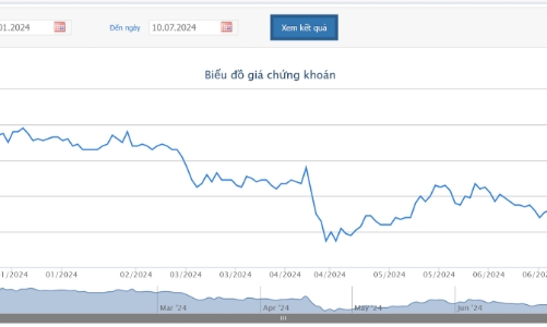 Cơ cấu danh mục, Phó Chủ tịch SBT đăng ký bán 70 triệu cổ phiếu