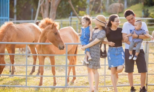 Du khách Việt đã thay đổi thói quen “xê dịch”