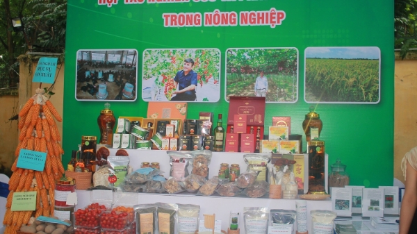 Hợp tác công - tư nghiên cứu, chuyển giao công nghệ nông nghiệp