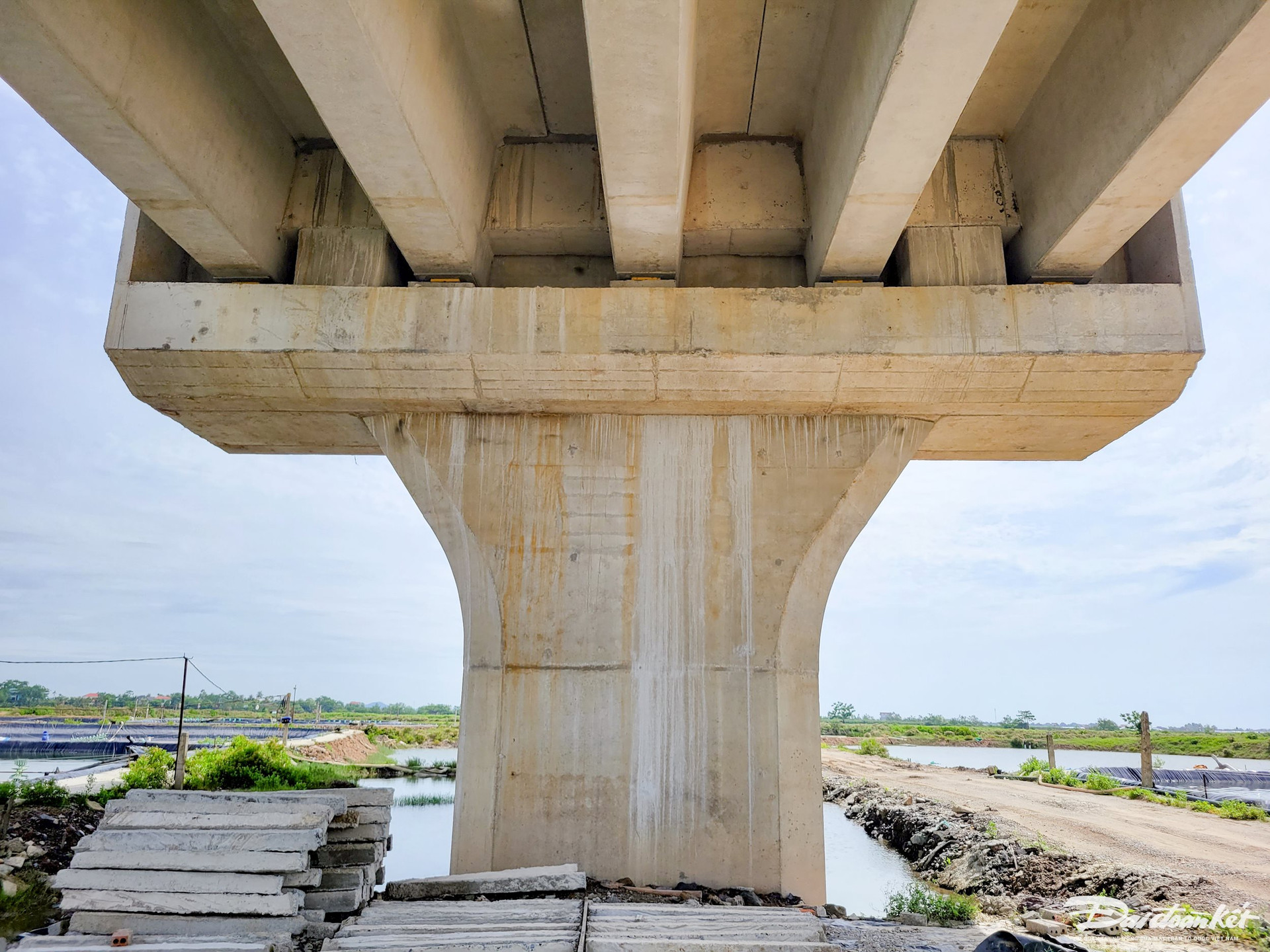 Cầu c&oacute; 27 nhịp dẫn với mặt cắt ngang nhịp gồm 5 dầm Super T đặt c&aacute;ch nhau 2,3m, chiều cao 1,75m. Gối cầu d&ugrave;ng gối chậu th&eacute;p c&aacute;c dầm ở trụ c&ugrave;ng với hệ thống khe co gi&atilde;n bằng khe ray v&agrave; bằng bản th&eacute;p kiểu răng lược.