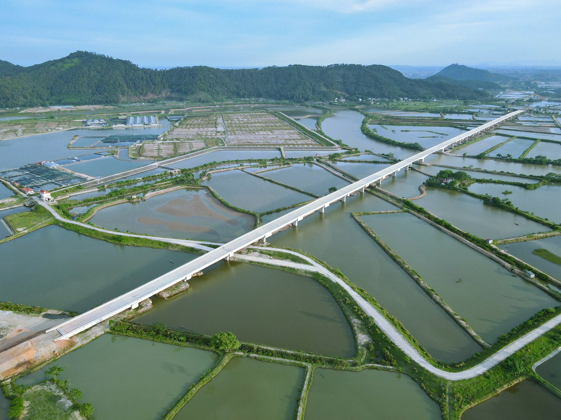 Cầu Lạch Trường được khởi công tháng 1/2022