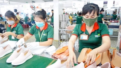 Ongoing policy adjustments needed to maintain momentum: EuroCham report