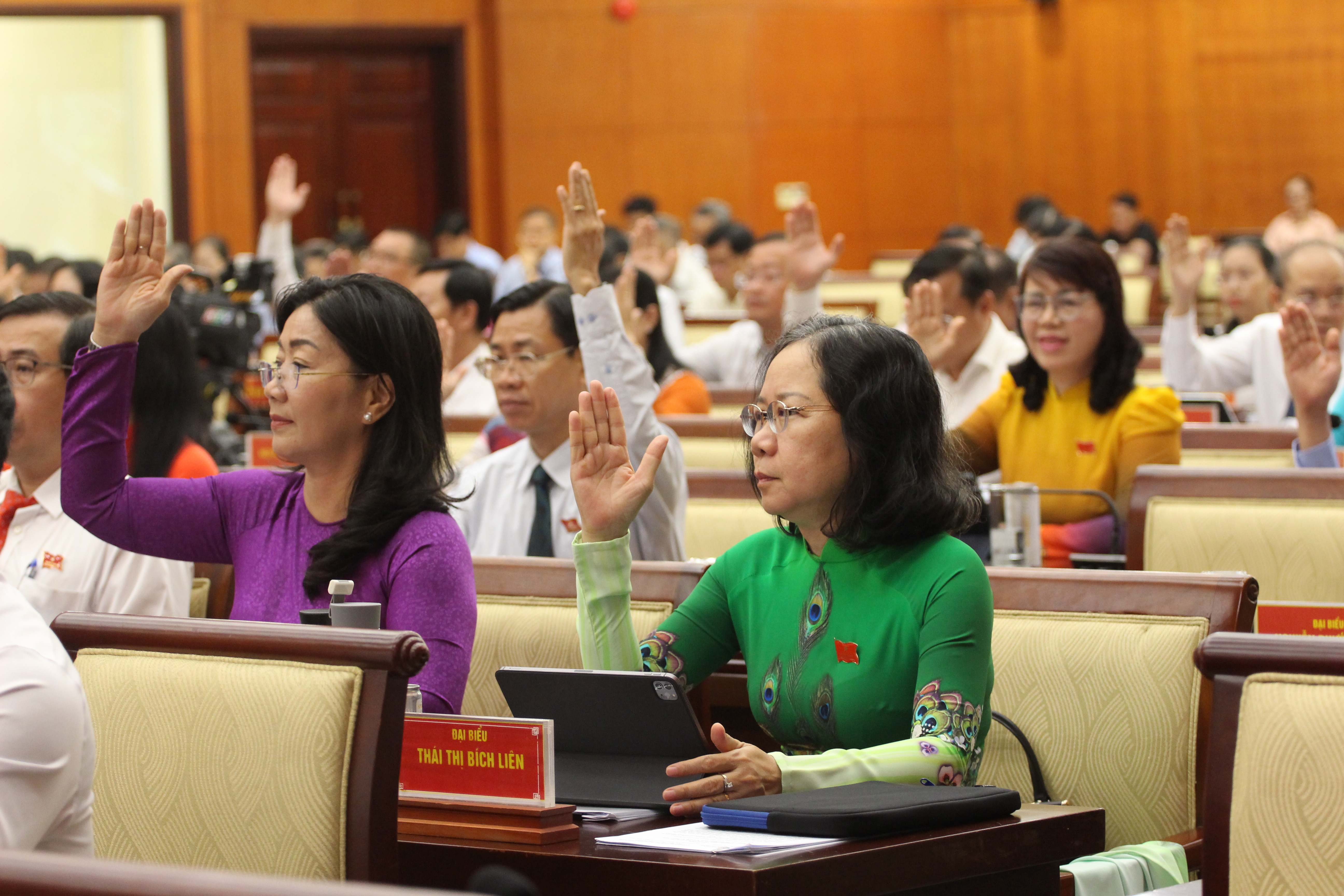 Các đại biểu biểu quyết thông qua Nghị quyết tại kỳ họp - Ảnh: TN
