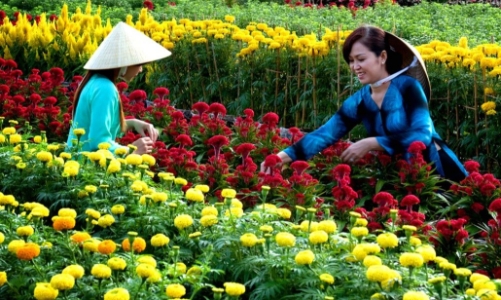 Công bố bộ nhận diện thương hiệu Làng Văn hóa du lịch Chợ Lách