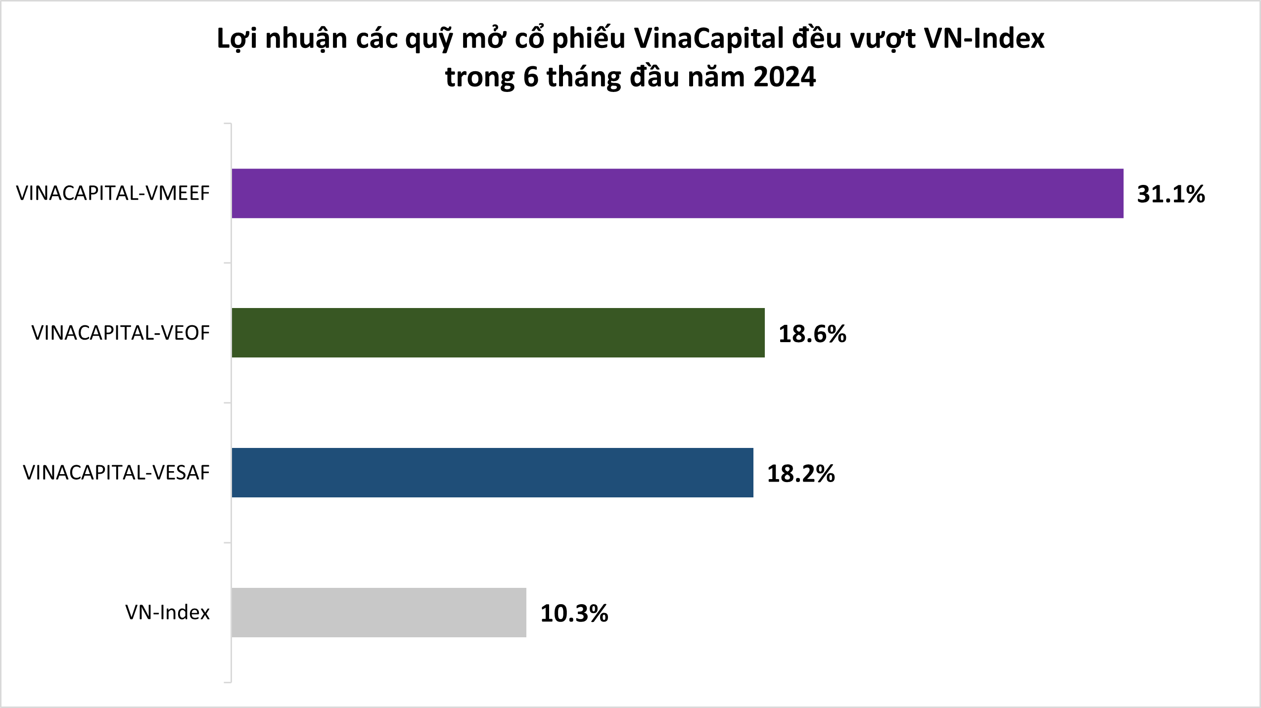 Tỷ lệ tăng trưởng quỹ mở cổ phiếu của VinaCapital trong 6 tháng đầu năm 2024