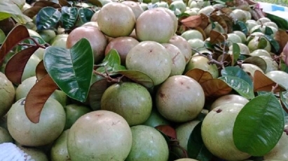 Ample room remains for Vietnamese fruits to enter the US