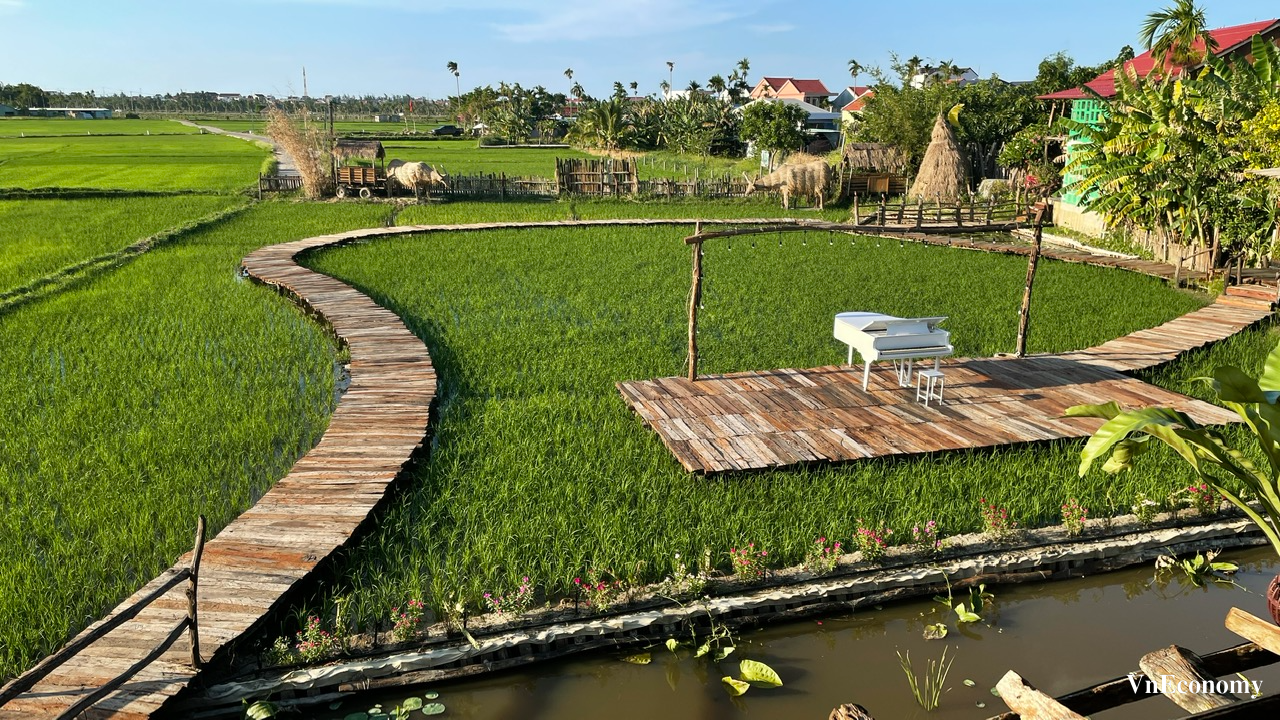 Nghỉ dưỡng xanh l&agrave; một trong những n&eacute;t hấp dẫn của Hội An.&nbsp;