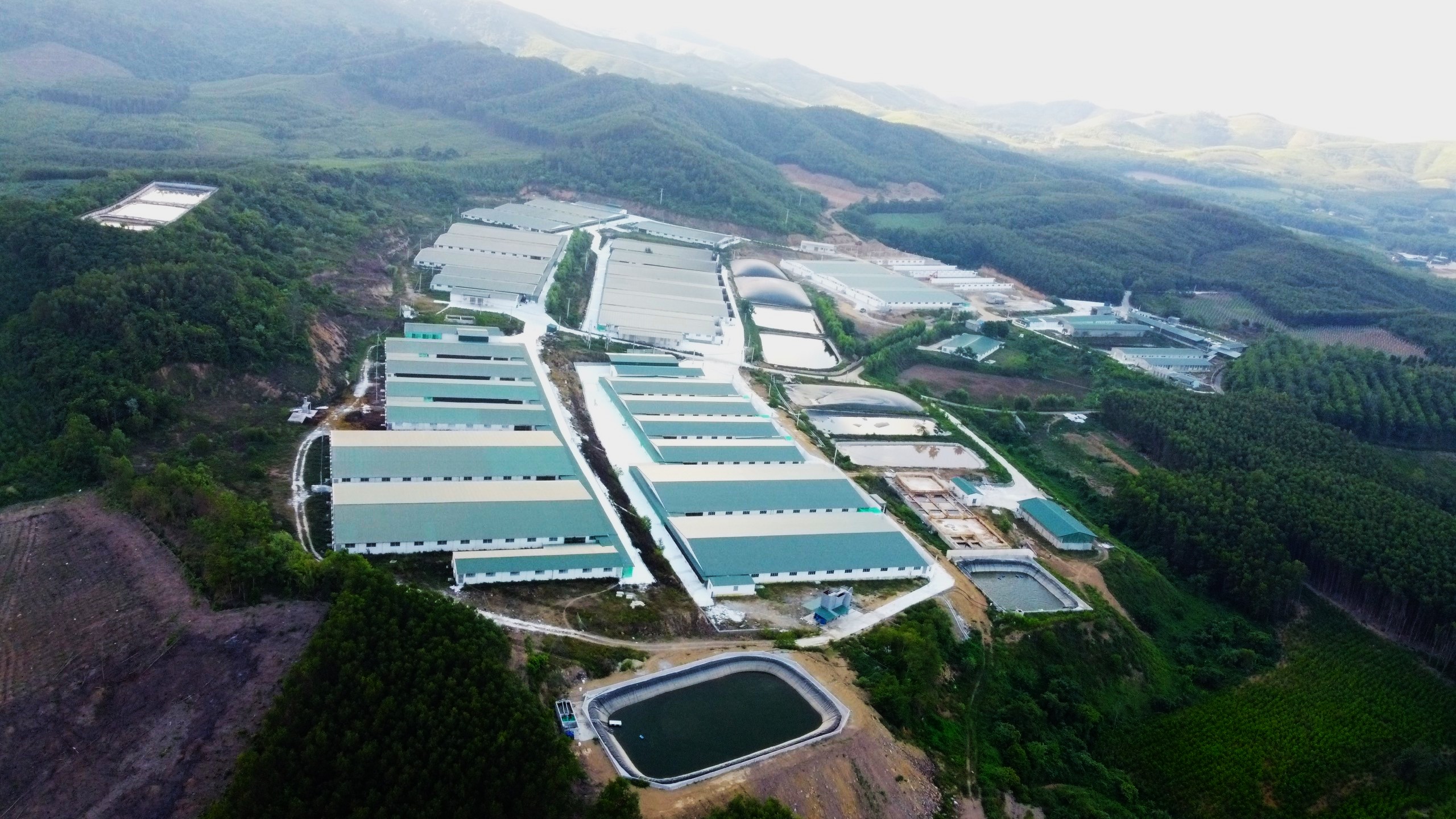 Trang trại chăn nuôi lợn của Công ty Cổ phần Tâm Việt