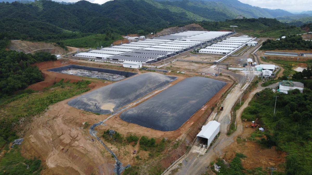 Trang trại lợn tại xã Tân Phúc, huyện Lang Chánh
