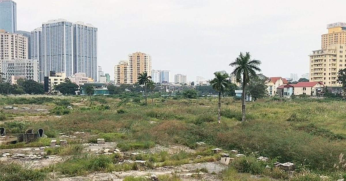 Ảnh minh họa.