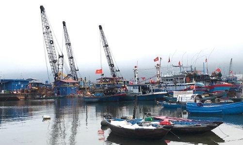 Âu thuyền cảng cá Thọ Quang được quy hoạch là 1 trong 5 trung tâm nghề cá lớn của cả nước