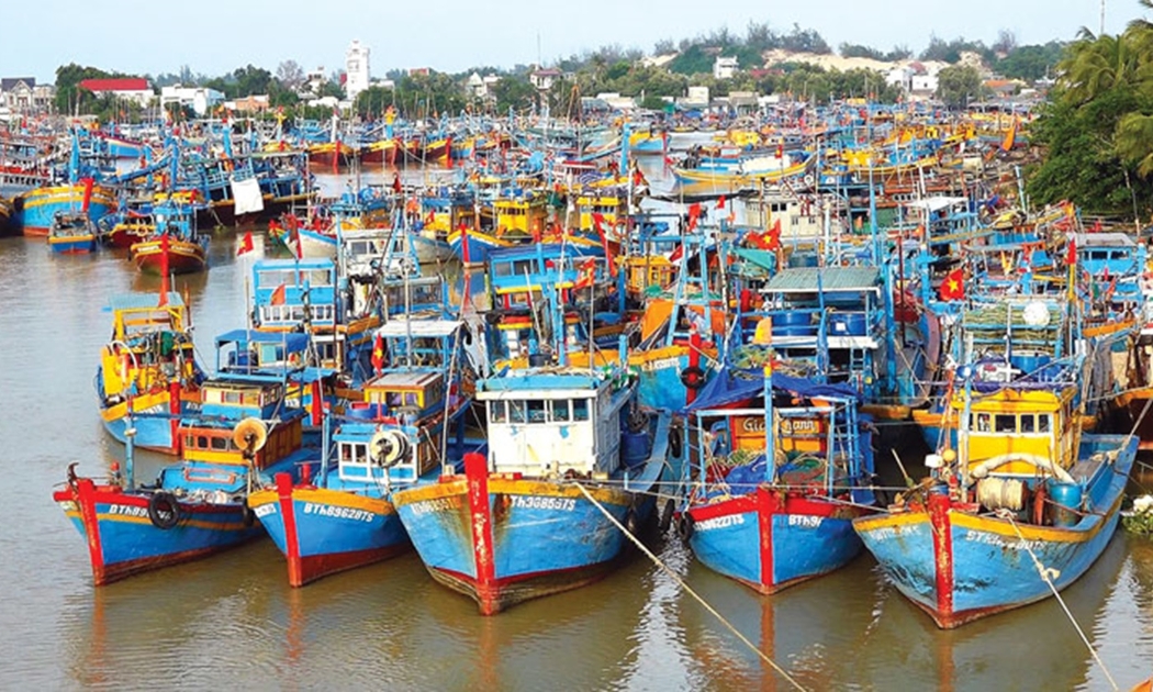 Cần nâng cấp hiện đại các cảng cá và khu neo đậu tàu thuyền đánh cá.