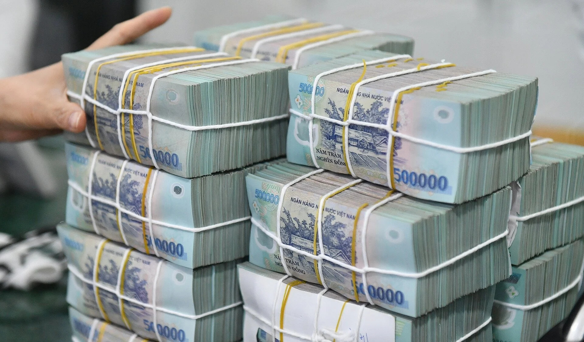 Các tổ chức tín dụng trong và ngoài nước ưu tiên vốn cho các dự án xanh của doanh nghiệp - Ảnh minh họa 