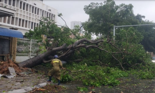 Bão suy yếu thành áp thấp nhiệt đới, mưa lớn dữ dội ở Bắc Bộ