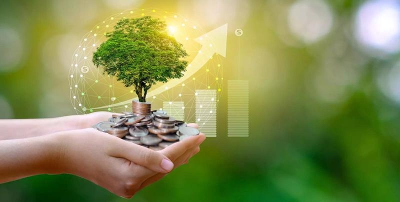 Green credit growth reaches 22% annually