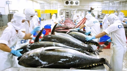 Tuna exports earn $472 mln in 1H