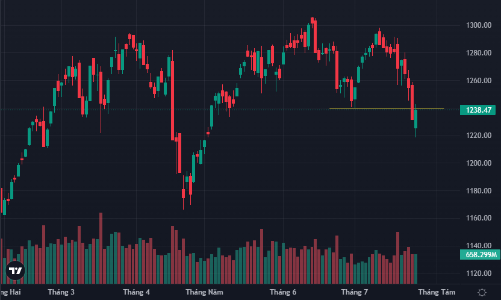 Đảo chiều thành công, hàng trăm cổ phiếu quay đầu tăng, lợi nhuận bắt đáy rất lớn