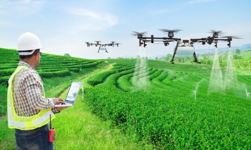 Cần những doanh nghiệp “đầu tàu” dẫn dắt nông nghiệp thông minh