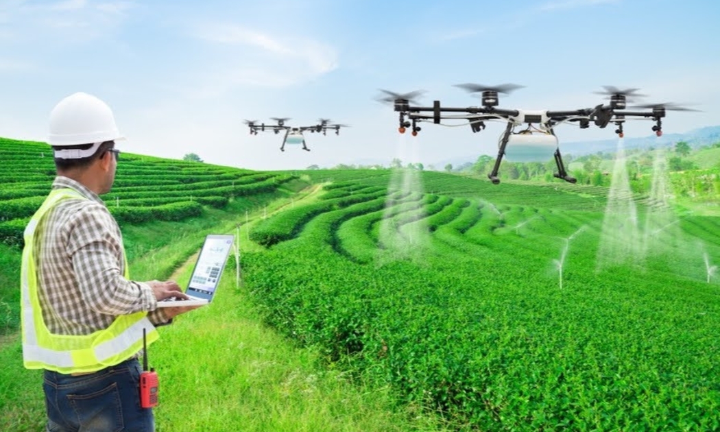 Việt Nam hiện mới có khoảng dưới 50 doanh nghiệp được công nhận là “doanh nghiệp nông nghiệp công nghệ cao”.